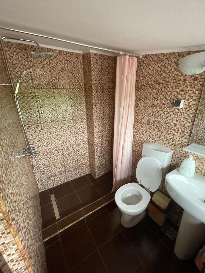 Motel Orion Obrejita エクステリア 写真