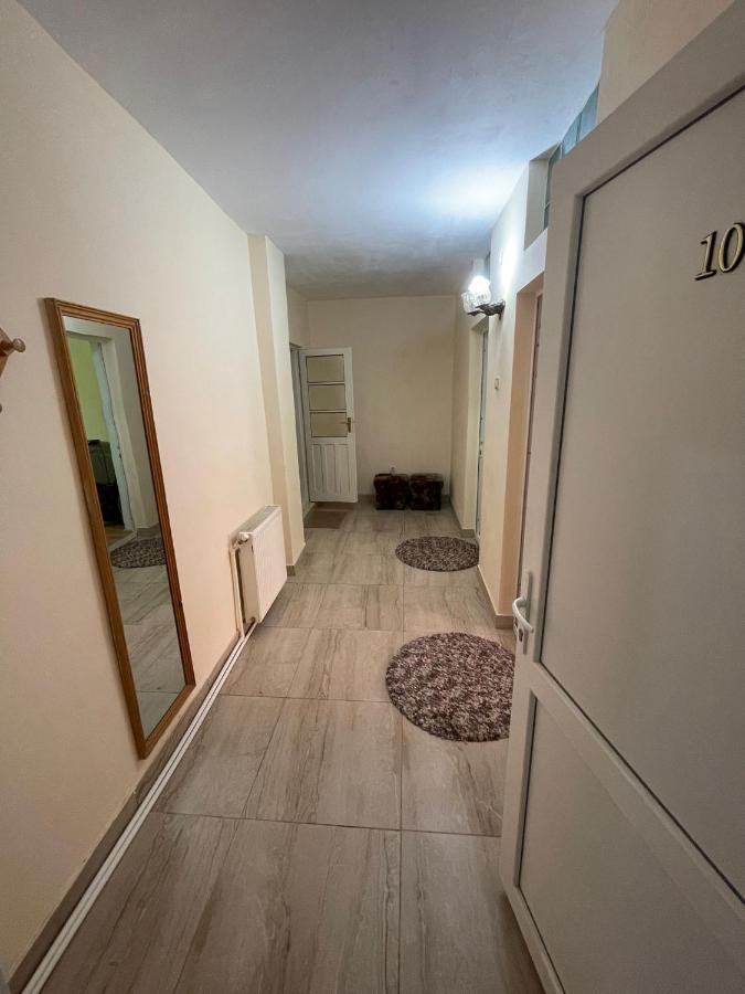 Motel Orion Obrejita エクステリア 写真