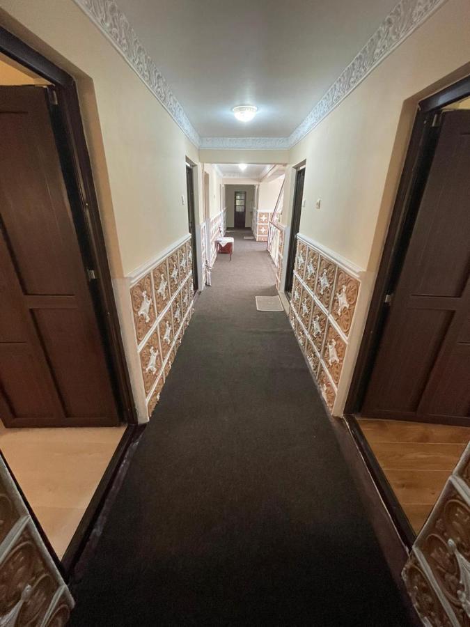 Motel Orion Obrejita エクステリア 写真